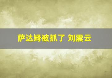 萨达姆被抓了 刘震云